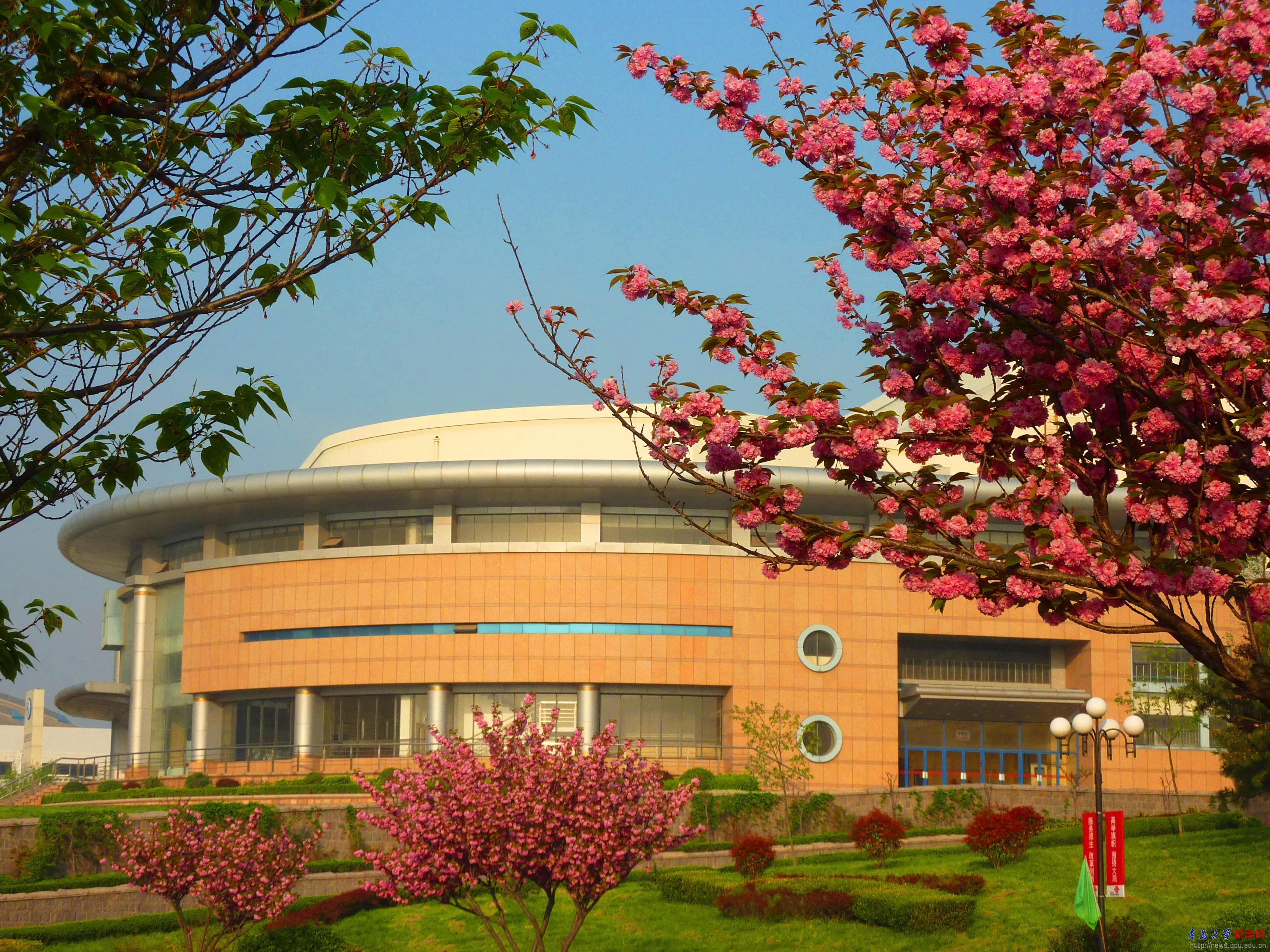 测试页-1首页-青大视点-青岛大学新闻网