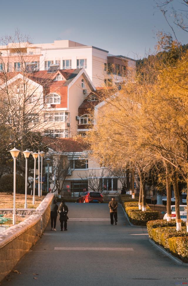 青島大學 東院【秋】